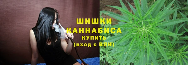 ешки Верхний Тагил
