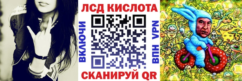 как найти наркотики  Гвардейск  Марки 25I-NBOMe 1,5мг 